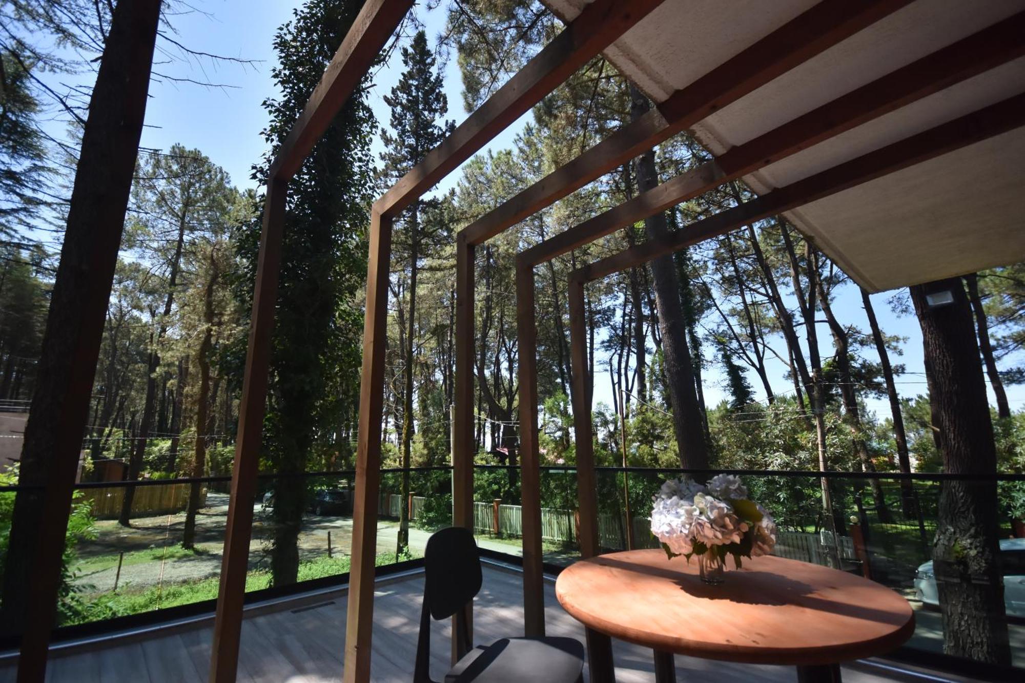Pine Aparthotel Shekhvetili Exterior photo